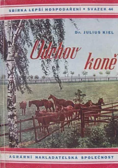 Odchov koně