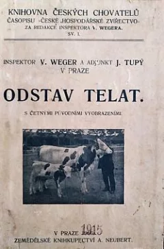 Odstav telat