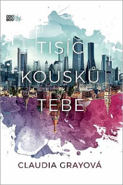 Tisíc kousků tebe