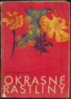 Okrasné rastliny v byte a na pracovisku