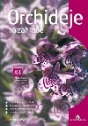 Orchideje na zahradě