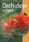 Orchideje v bytě