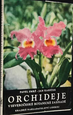 Orchideje v Severočeské botanické zahradě