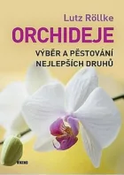 Orchideje – Výběr a pěstování nejlepších druhů