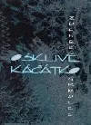 Ošklivé kačátko