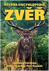 Ottova encyklopedie: Zvěř