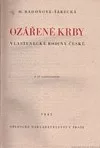 Ozářené krby