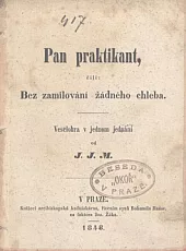 Pan praktikant čili Bez zamilování žádného chleba