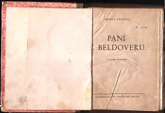 Paní z Beldoveru: z deníku advokátky