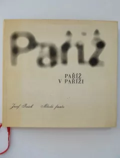 Paříž v Paříži