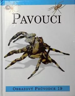 Pavouci