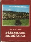 Pěšinkami Horňácka
