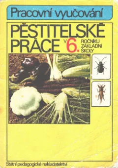 Pěstitelské práce v 6. ročníku základní školy