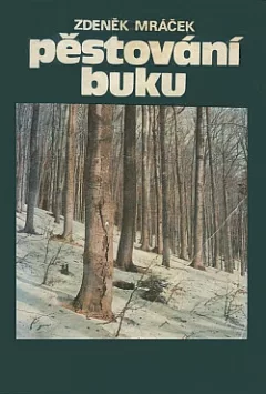Pěstování buku
