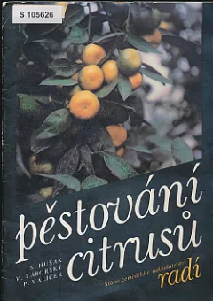Pěstování citrusů