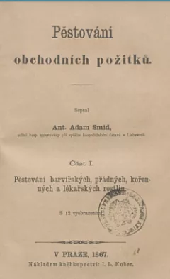 Pěstování obchodních požitků Část I.