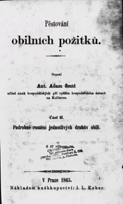 Pěstování obilních požitků Část II.