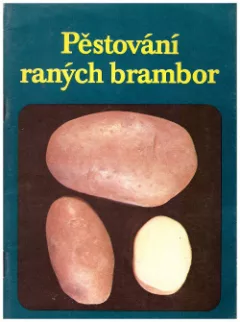 Pěstování raných brambor