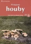 Pěstujeme houby