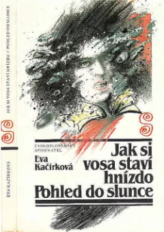 Jak si vosa staví hnízdo / Pohled do slunce