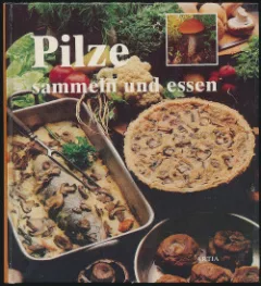 Pilze sammeln und essen