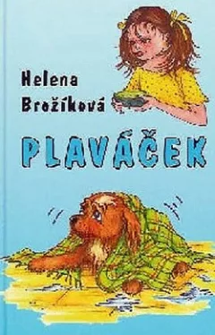 Plaváček