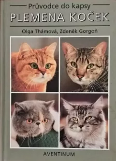 Plemena koček