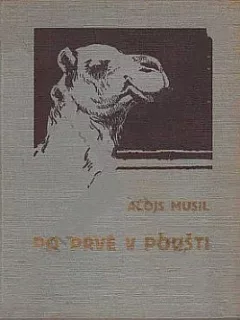 Po prvé v poušti