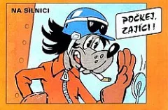 Počkej, zajíci! Na silnici