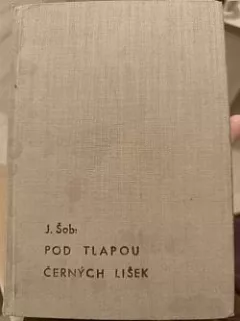 Pod tlapou černých lišek