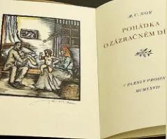 Pohádka o zázračném dítěti