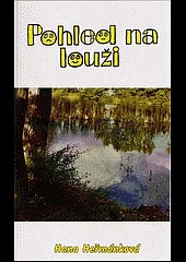 Pohled na louži