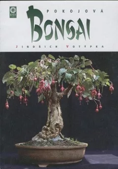 Pokojová Bonsai