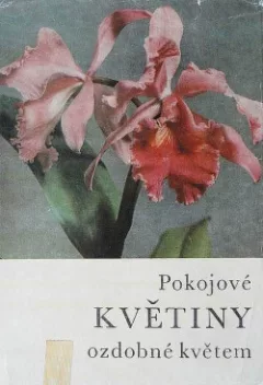 Pokojové květiny ozdobné květem