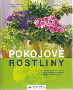 Pokojové rostliny