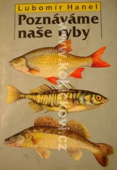 Poznáváme naše ryby
