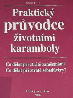 Praktický průvodce životními karamboly