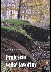 Pralesem Velké Javořiny