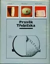 Pravěk Třebíčska