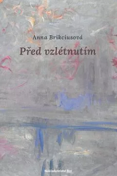 Před vzlétnutím