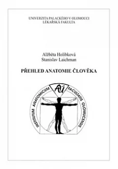 Přehled anatomie člověka