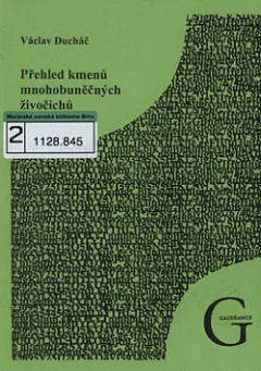 Přehled kmenů mnohobuněčných živočichů