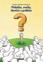 Překážka, ovečky, človíček a problém