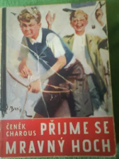 Přijme se mravný hoch