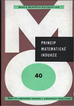 Princip matematické indukce