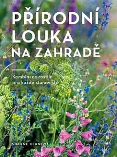 Přírodní louka na zahradě