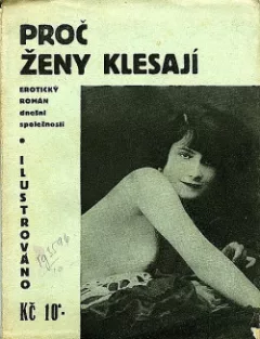 Proč ženy klesají : erotický román dnešní společnosti