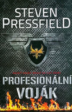 Profesionální voják