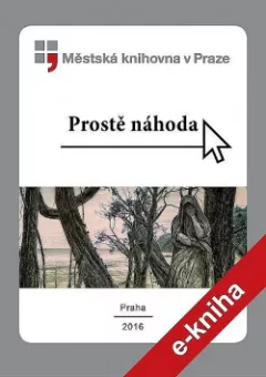 Prostě náhoda