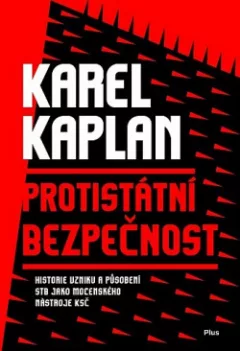 Protistátní bezpečnost